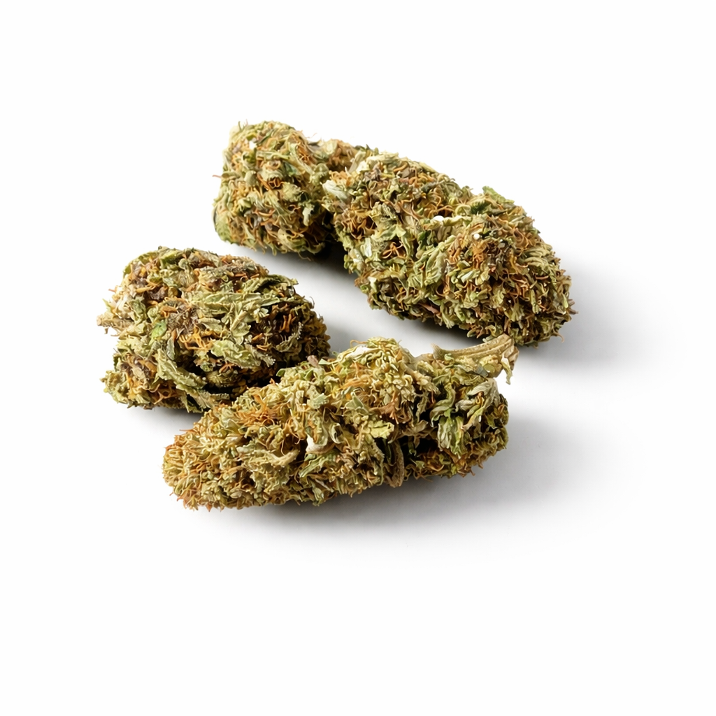 Les grosses têtes d’Orange Bud