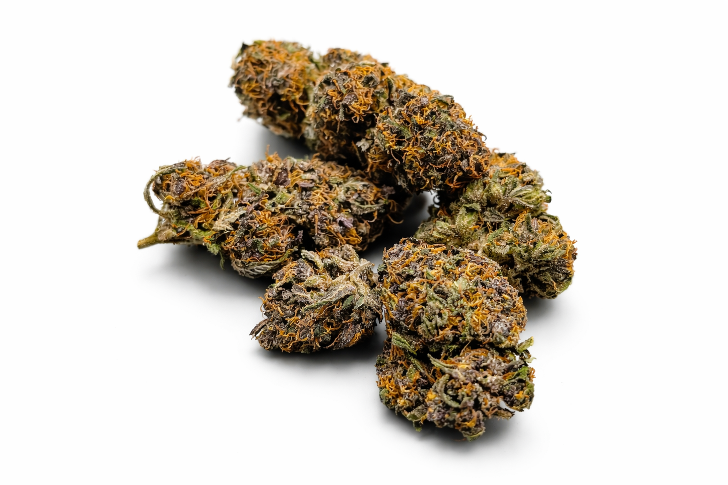 Les grosses têtes de Violette