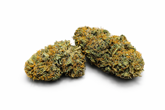 Les grosses têtes de Blue amnesia